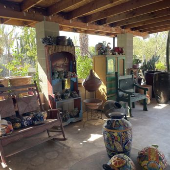 Ponderosa Cactus - Nurseries & Gardening Near Me - Tucson, Arizona