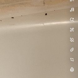 Super 8 by Wyndham Hamburg - They have bedbugs as well not sure who does the walks through on this place but I would love to see your house cause I know u fucking lying