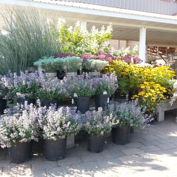Greenwood Nursery - Nurseries & Gardening Near Me - Marshall, Minnesota Greenwood Nursery - Nurseries & Gardening Near Me - Marshall, Minnesota