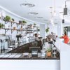 kula coffee co gift card