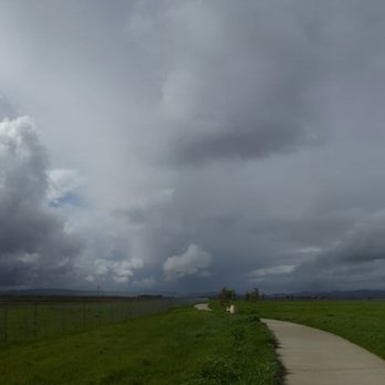 Lawler Ranch Park - Suisun marsh - Parks Near Me - Suisun City, California