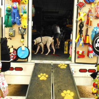 Great Outdogs - Dot doing a little shopping - Pet Stores Near Me - Austin, Texas