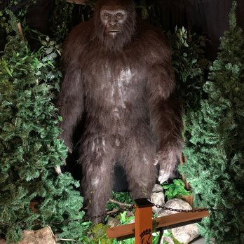 North American Bigfoot Center - Museums Near Me - Boring, Oregon North American Bigfoot Center - Museums Near Me - Boring, Oregon