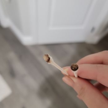 The Painted Nest Studio - found stains inside my ears the next day - it took 5 qtips to get them all out - Hair Salons Near Me - Brea, California The Painted Nest Studio - found stains inside my ears the next day - it took 5 qtips to get them all out - Hair Salons Near Me - Brea, California