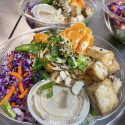 Planted Meal Prep - Mandarin Asian Salad