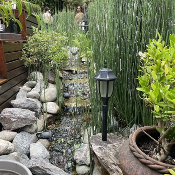 Eggy’s Neighborhood Kitchen - Outside restaurant - Breakfast & Brunch Near Me - Berkeley, California Eggy’s Neighborhood Kitchen - Outside restaurant - Breakfast & Brunch Near Me - Berkeley, California