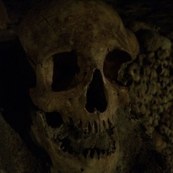 Les Catacombes de Paris - Local Flavor Near Me - Paris, 75 Les Catacombes de Paris - Local Flavor Near Me - Paris, 75