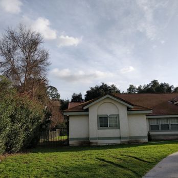 Paez Tree Service - After - Tree Services Near Me - Anaheim, California