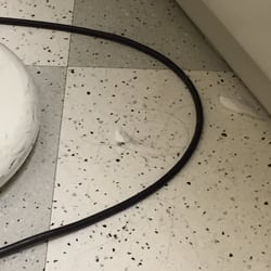 South Riding Family Medicine - Massive hairballs next to the exam table. This place never cleans apparently. Good thing for a doctors office.