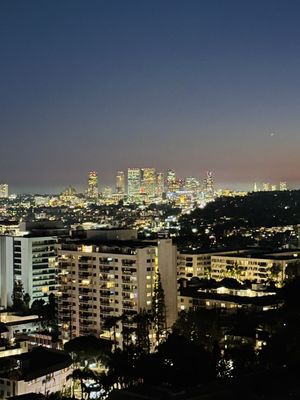 Mondrian Los Angeles by null