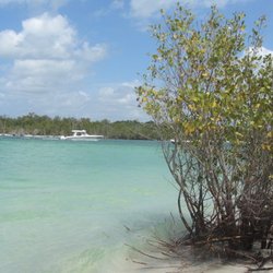 Big Hickory Island