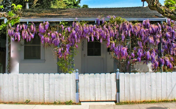 aRt Cottage by null