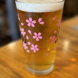 Bluefin Sushi & Ramen - Lakeway - Sapporo Draft