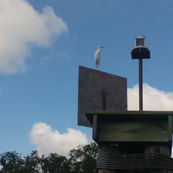 Blue Spring Adventures - Boat Charters Near Me - Orange City, Florida