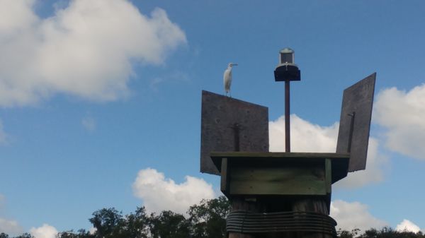 Blue Spring Adventures by null