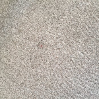 Bryant Companies - A big stain..they weren't sure the carpet would be replaced - Property Management Near Me - South Pasadena, California Bryant Companies - A big stain..they weren't sure the carpet would be replaced - Property Management Near Me - South Pasadena, California