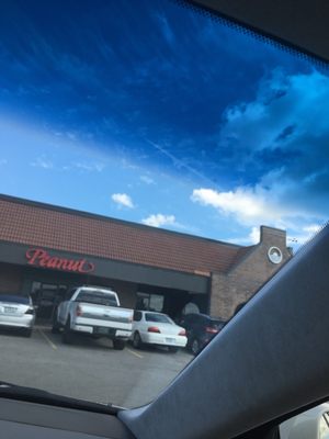 The Peanut by null