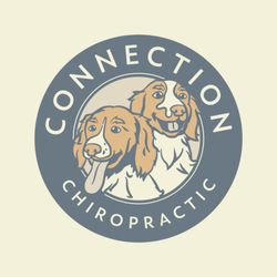 Connection Chiropractic