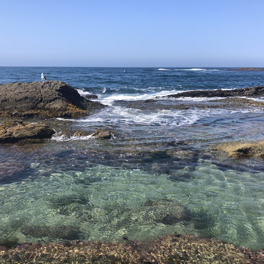 Table Rock Beach - Beautiful beach - Beaches Near Me - Laguna Beach, California Table Rock Beach - Beautiful beach - Beaches Near Me - Laguna Beach, California