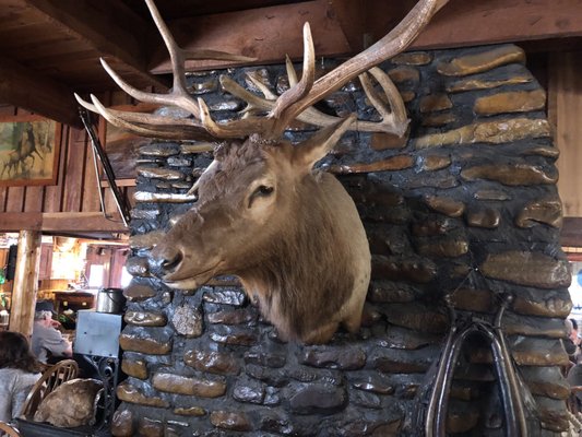 The Snake Pit by null