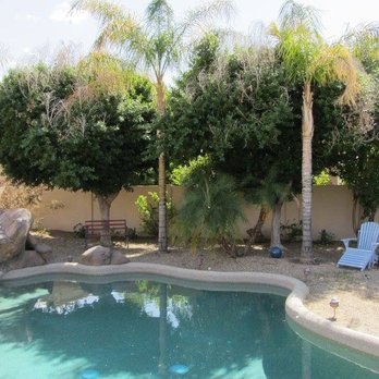 Leaf It To Me - a pool in a backyard - Landscaping Near Me - Phoenix, Arizona Leaf It To Me - a pool in a backyard - Landscaping Near Me - Phoenix, Arizona