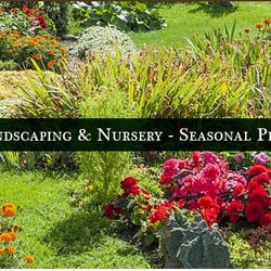 Morgado Landscape & Nursery