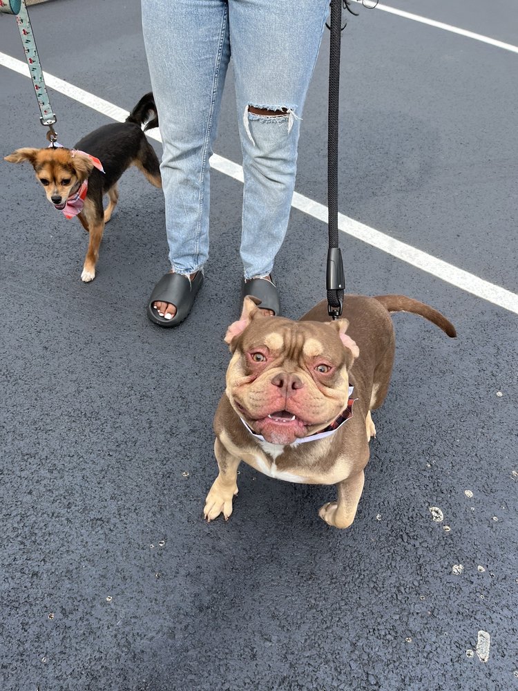 FURRY LAND OF CINCINNATI Updated July 2024 Request an Appointment 18 Photos Cincinnati