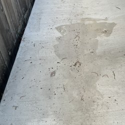 Custom Outdoor Concepts - Unfinished concrete. Left acid to put on the cement to clean off their mess and permanently damaged the cement
