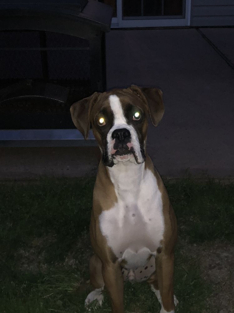 Slide of A-Savior Plumbing