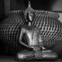 Photo of Zenobia