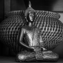 Zenobia - One of the many items at Zenobia.