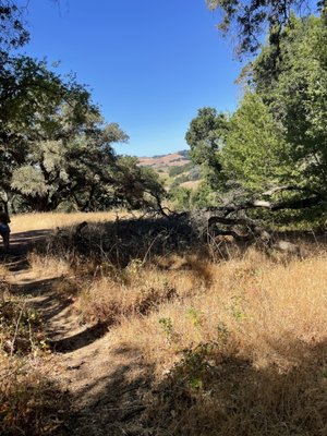 Westwood Hills Park by null