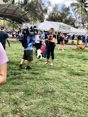 Huizenga Park by null