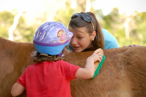Sugar and Spice Ranch - equestrian in Bandera, TX