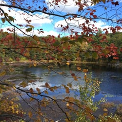 Long Pond Nature Area - Long Pond