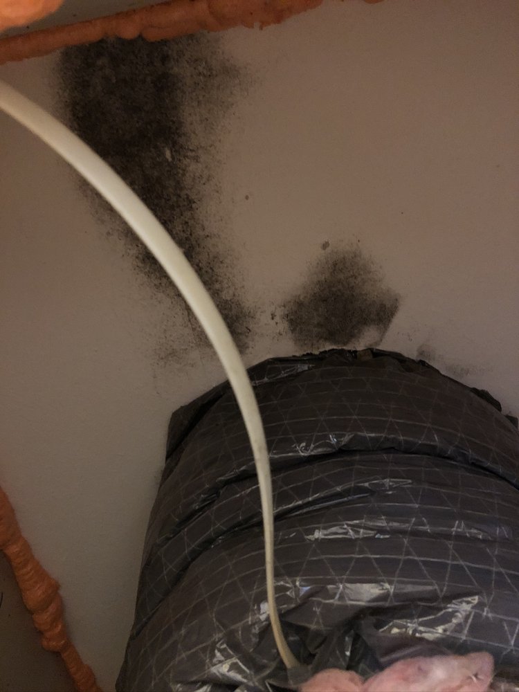 Gulf Coast Air Solutions - mold inspector in Ocean Springs, MS