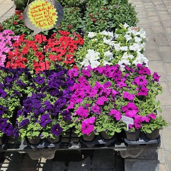 Green Wholesale Center - Landscaping Near Me