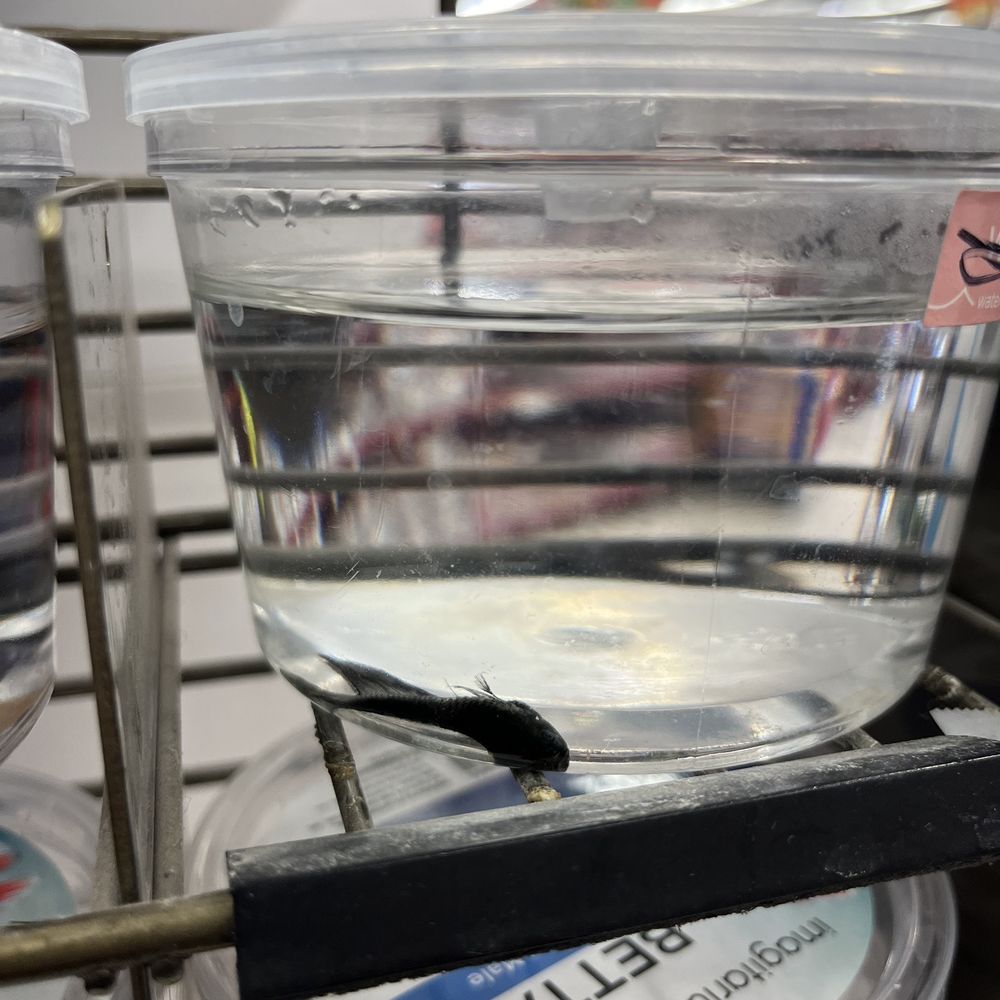 Petco - Pet Training Near Me - Colorado Springs, Colorado