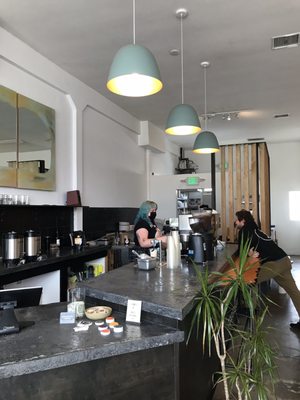 Scrimshaw Coffee by null