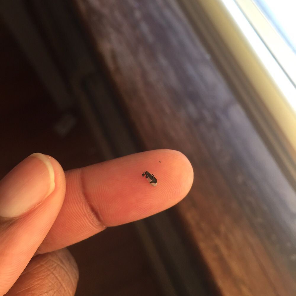 Asia One - Leftover seaweed form the sushi ,found it randomly in my mouth like it was plastic. - Sushi Bars Near Me - Fall River, Massachusetts