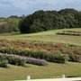 Dame Farm & Orchard
