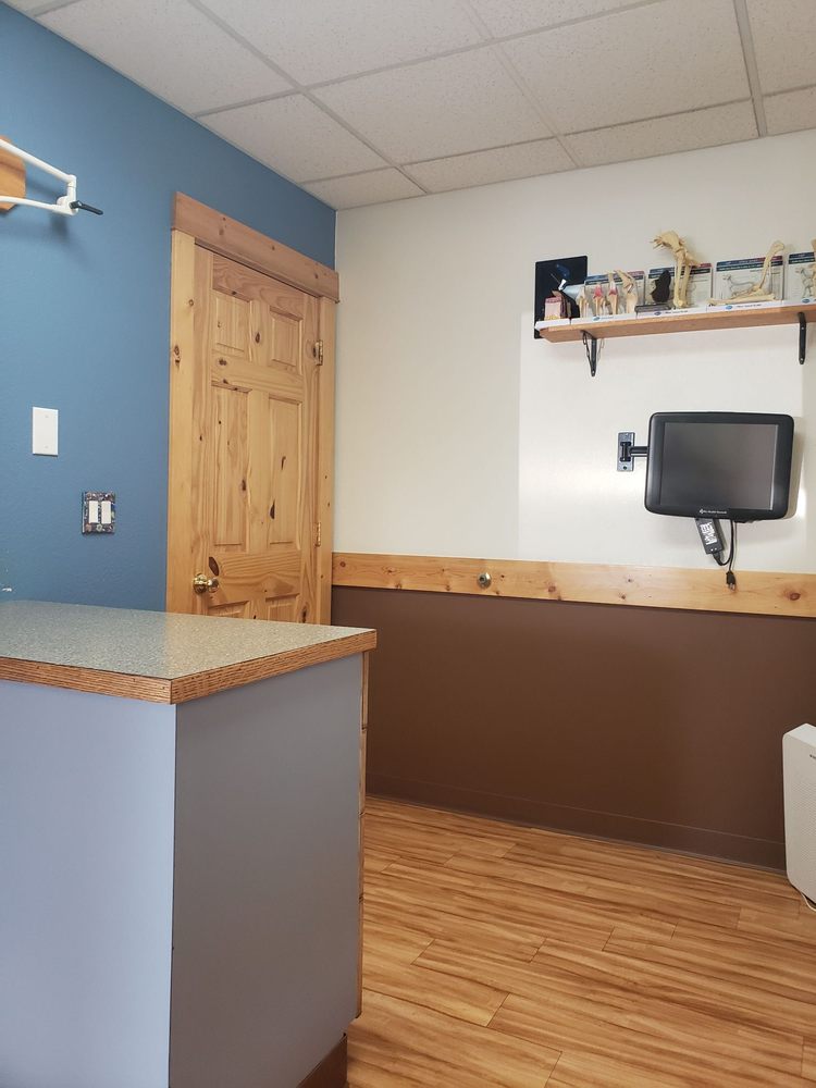 All Creatures Veterinary Service Image