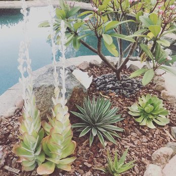 Sugar Sweet Farm - Attraction Farms Near Me