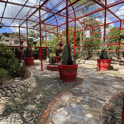 Jardín Botánico y Cultural de Caguas
