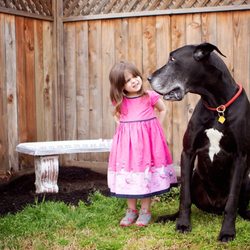 Clicdog - Classe enfant animal Une découverte réciproque