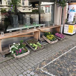 Seri's Blumen