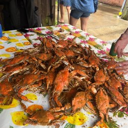 Crabs Crabs