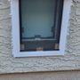 Photo of Hale Pet Doors of Arizona