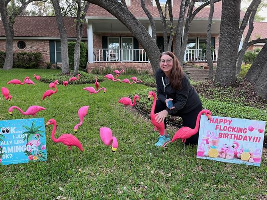 Austin Flamingo Flocking