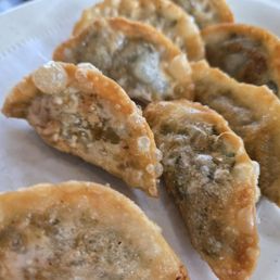 Fried Dumplings